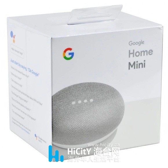 Google Mini
