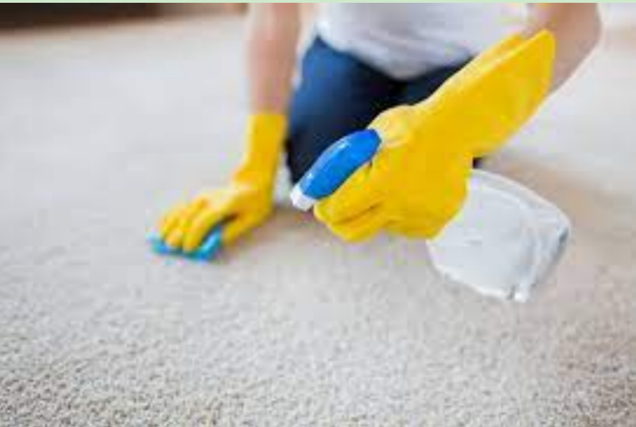 地毯地板的维护清洁秘诀（下）：方法与流程